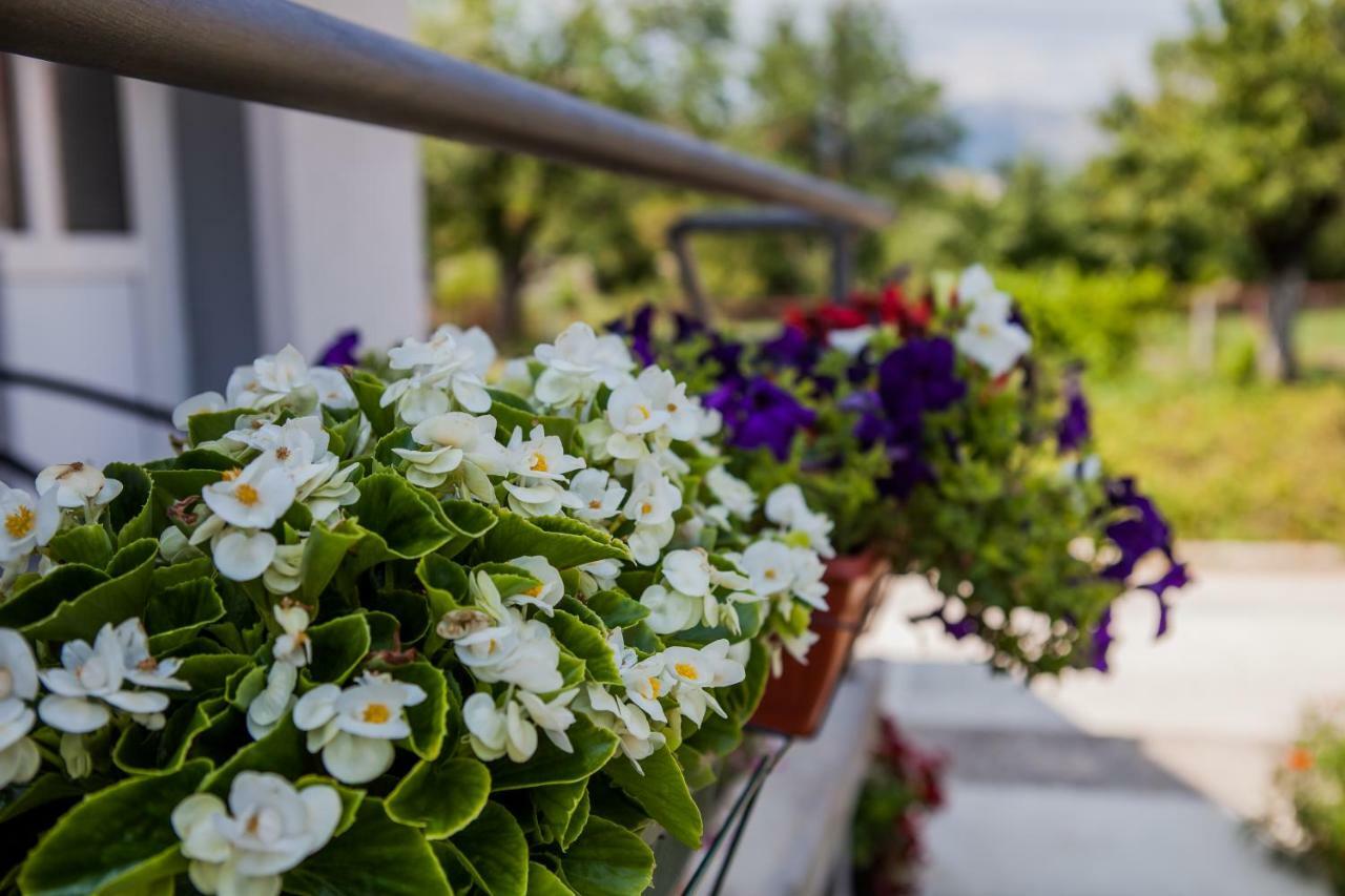 Apartments Heaven Цетине Екстериор снимка